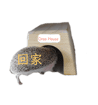 はりねずみで行こう。（中国語）（個別スタンプ：12）