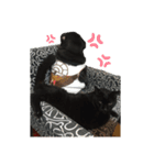 ぶぶさんスタンプ（個別スタンプ：7）