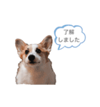 なぎちゃん頑張ってる（個別スタンプ：4）