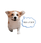 なぎちゃん頑張ってる（個別スタンプ：6）