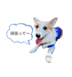 なぎちゃん頑張ってる（個別スタンプ：7）
