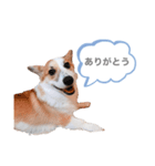 なぎちゃん頑張ってる（個別スタンプ：8）