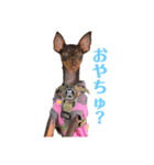 るるるん♪2（個別スタンプ：6）