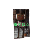 るるるん♪2（個別スタンプ：8）