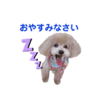 ミルティーごあいさつ（個別スタンプ：4）