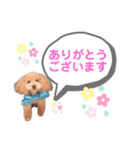 ミルティーごあいさつ（個別スタンプ：7）