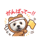 らんまるちゃん。③（個別スタンプ：5）