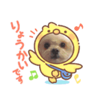 らんまるちゃん。③（個別スタンプ：10）