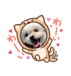 らんまるちゃん。③（個別スタンプ：11）