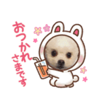 らんまるちゃん。③（個別スタンプ：14）