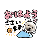 らんまるちゃん。③（個別スタンプ：16）