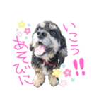 レディまる様の日常①（個別スタンプ：1）
