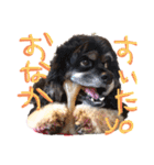 レディまる様の日常①（個別スタンプ：2）