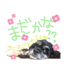 レディまる様の日常①（個別スタンプ：3）