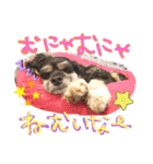 レディまる様の日常①（個別スタンプ：11）