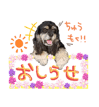 レディまる様の日常①（個別スタンプ：14）