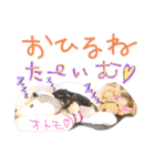 レディまる様の日常①（個別スタンプ：17）