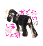 レディまる様の日常①（個別スタンプ：22）