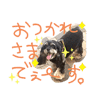 レディまる様の日常①（個別スタンプ：25）
