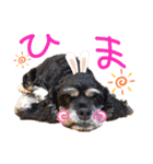 レディまる様の日常①（個別スタンプ：27）