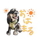 レディまる様の日常①（個別スタンプ：29）