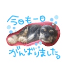 レディまる様の日常①（個別スタンプ：30）