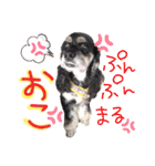 レディまる様の日常①（個別スタンプ：35）