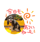レディまる様の日常①（個別スタンプ：40）