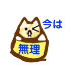 猫猫猫ฅ(*°ω°*ฅ)*スタンプ（個別スタンプ：12）