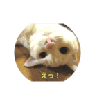 吉兆来福（個別スタンプ：5）