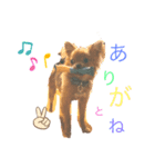 まるぽう（個別スタンプ：1）