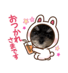 いつでも使えるわんわんスタンプ（個別スタンプ：16）