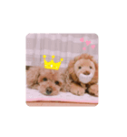 可愛いみるきーちゃんのスタンプ（個別スタンプ：4）
