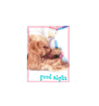 可愛いみるきーちゃんのスタンプ（個別スタンプ：7）
