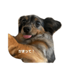 わがまま メルちゃん（個別スタンプ：11）