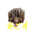 ヘヨン 日常編（個別スタンプ：3）