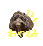ヘヨン 日常編（個別スタンプ：4）
