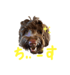 ヘヨン 日常編（個別スタンプ：5）