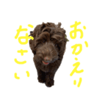ヘヨン 日常編（個別スタンプ：7）