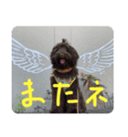 ヘヨン 日常編（個別スタンプ：9）