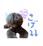 ヘヨン 日常編（個別スタンプ：10）