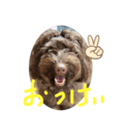 ヘヨン 日常編（個別スタンプ：11）