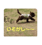 ヘヨン 日常編（個別スタンプ：12）