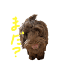 ヘヨン 日常編（個別スタンプ：15）