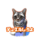 かつてTPと呼ばれた猫のスタンプLv2（個別スタンプ：2）