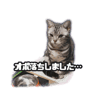 かつてTPと呼ばれた猫のスタンプLv2（個別スタンプ：22）
