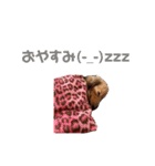 ✨大阪弁入り手書き犬と愛犬たち✨（個別スタンプ：18）