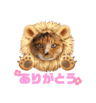 コロタとメイリーとピアノ時々サラン（個別スタンプ：24）