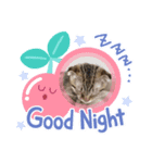 むぎたんのスタンプฅ(^^ฅ)（個別スタンプ：5）