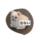 みるみるの日常スタンプ（個別スタンプ：9）